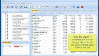 DiskAnalyzer Pro  Hard Disk Space Usage Analyzer [upl. by Kcirted]