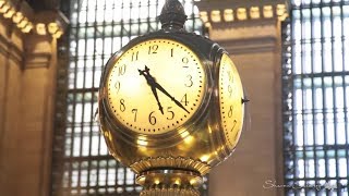 Grand Central Station  Sharon Salzberg [upl. by Erodeht832]