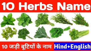 10 Herbs Name 10 जड़ी बूटी औषधियों के नाम Herbs name in Hindi and English with their pictures [upl. by Dinah983]