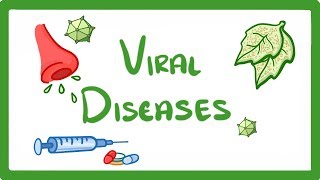 GCSE Biology  What Is a Virus  Examples of Viral Disease HIV Measles amp TMV 36 [upl. by Leiva]