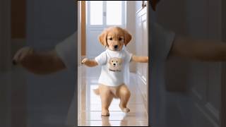 dog dancing video [upl. by Cris529]