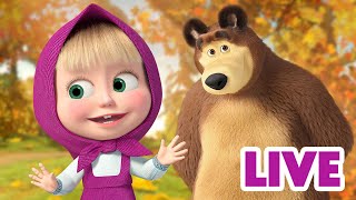 ماشا والدب 👱‍♀️ LIVE STREAM 📺🌟 إعادة مشاهدة الحلقات القديمة 📺🌟 Masha and the Bear [upl. by Esaele]