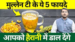 5 Amazing Mullein Tea Benefits For Gut Health Skin Heart amp Brain  मुल्लेन टी के फायदे [upl. by Kessler]