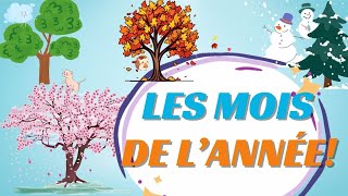 LES MOIS DE LANNÉE I MONTHS OF THE YEAR IN FRENCH [upl. by Ybeloc]