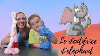 Expérience facile pour enfants Le dentifrice déléphant [upl. by Ehcnalb]