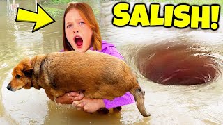 7 YouTubers Who SAVED ANIMALS LIVES Salish Matter Jordan amp Nidal [upl. by Ramal]