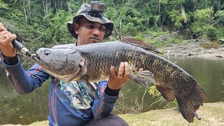 Extreme fishing expedition for Wolf fish  Deep in the jungle of Suriname [upl. by Aitercal]