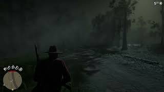 My second encounter with the Night Folk in RDR2😈 [upl. by Ycniuqed45]