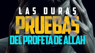 Las duras pruebas a las que el Profeta de Allah ﷺ fue sometido by Khaled Huerta Shorts [upl. by Atnoek200]