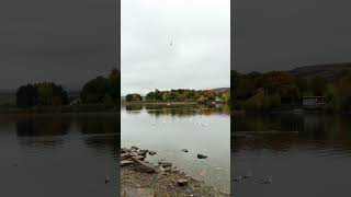 Morning walk around Hollingworth Lake with voice of HolyQuran muslim islamicvideo [upl. by Sallyann]