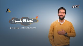 موسم فراط الزيتون  quotاحنا بنلقط زيتون مش بروستدquot [upl. by Yekciv]