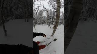 Chill Forest Run skiing skiseason lofi snowboarding snowski snowskiing [upl. by Amathiste]