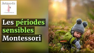 Les périodes sensibles dans la pédagogie Montessori [upl. by Agueda]