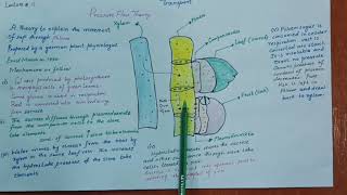 Pressure flow theory [upl. by Acinoed444]