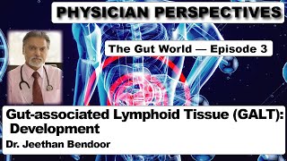 Physician Perspectives GutWorld Episode 3 — GALT Development [upl. by Ahtikal]