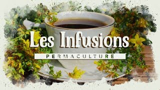 Comment faire ses infusions maison [upl. by Fitzger]