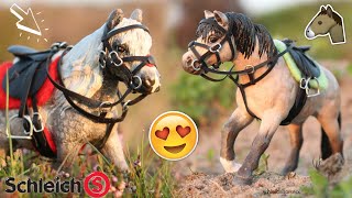 Al mijn SCHLEICH PAARDEN TUIG laten zien 2012  2018  Schleich 30  Daphneee [upl. by Amadas914]