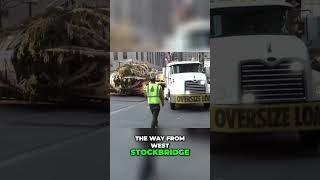 Rockefeller Centers Majestic Christmas Tree Arrives [upl. by Analli]