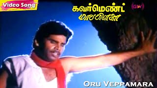 Oru Veppamara Thoppu HD  SPB  Deva  Swarnalatha  Government Mapillai  Tamil Sad Songs [upl. by Schuster]