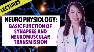 Lecture  Neuro Physiology Basic Function of Synapses and Neuromuscular Transmission [upl. by Allyn166]