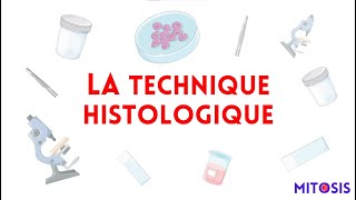 La technique histologique méthodes d’études en histologie [upl. by Tirrej]