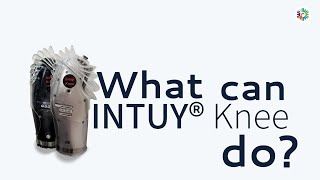 Intuy Knee  A Motorized Knee Prosthesis [upl. by Willman342]