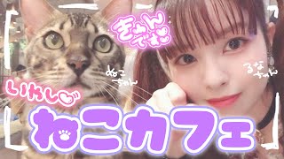 猫カフェで可愛い猫ちゃんたちに癒されてきました～♡もふもふで可愛い猫ちゃんたちをご覧あれ！【春奈るな】【LunaHaruna】 [upl. by Bala]