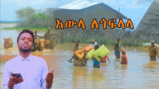 አውላ ለጎፍላላ ስልጥኛ [upl. by Eeliab]