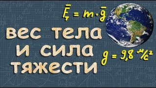 СИЛА ТЯЖЕСТИ масса ВЕС ТЕЛА 7 класс физика Перышкин [upl. by Llessur]