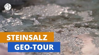 Steinsalz  GeoTour  Planet Schule [upl. by Revlys296]