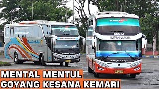 BUS BERGOYANG KESANA KEMARI  Hunting Bis di Terminal Kertonegoro Ngawi [upl. by Jerri187]