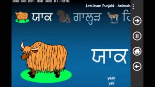 Lets Learn Punjabi Animals Daddaji [upl. by Aimek]