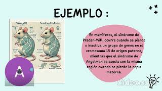 quotHerencia no mendeliana en animalesquot [upl. by Asim]