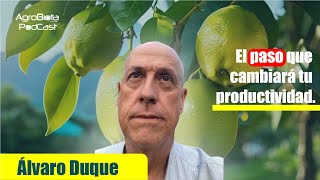 quotEl paso que cambiará tu productividadquot [upl. by Ahsekim]