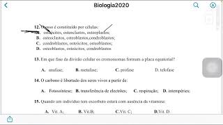 Iscisa 2020 [upl. by Aloysia]