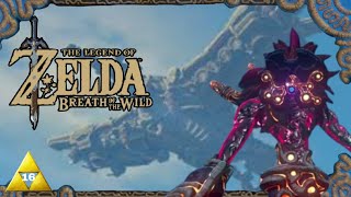 The Legend of Zelda Breath of the Wild Part 16 Der Windtitan Vah Medoh und der Windfluch [upl. by Barnebas174]