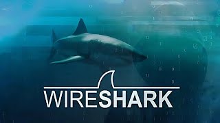 Wireshark Packet Analysis for Network Security [upl. by Rodablas]