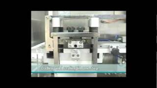 Neopackaging NBM140 Blister Machine [upl. by Neeham]