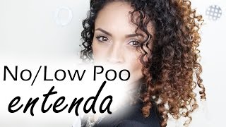 O que é No e Low Poo  Novidades Tô de Cacho por Fernanda Ferreira [upl. by Viviana710]