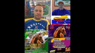 HIPISMO PROFESIONAL DOMINGO 180224 [upl. by Frannie]