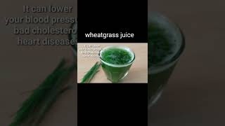 wheatgrass juice benefits shorts ytshorts youtubeshorts wheatgrass [upl. by Nednarb]