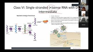 KULIAH VIROLOGIVIRUS RNA [upl. by Aynor]