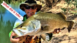 Fishing COMP lure vs live bait BARRAMUNDI  or will they take the fly [upl. by Teresita]