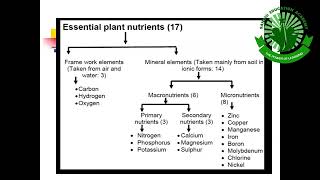 jta essential plant nutrients [upl. by Dianne]