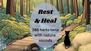 LoFi to Rest amp Heal  285hz Solfeggio Tone for Body Healing  Nature Sounds [upl. by Dalt]