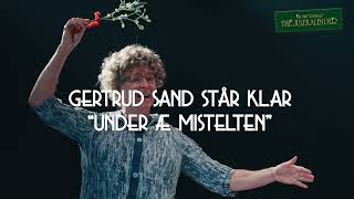 De Nattergales THE JULEKALENDER som teater [upl. by Feucht356]