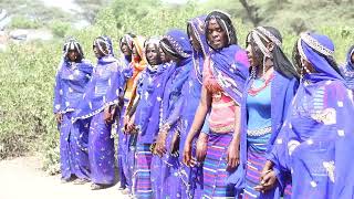 Qafar Seyoo Eide afar Beautiful cultural dance 2024 ethiopian culturaldance [upl. by Asiela394]