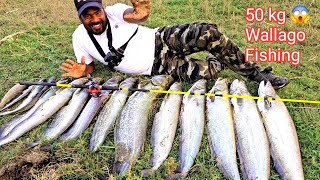 😱50 kg Big Wallago Fishing Techniques  Big fish pathan Fishing Videos  Ahtesham khan Fishing [upl. by Aika]