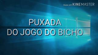 PUXADA DO JOGO DO BICHO [upl. by Gisella]