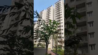 Superb flats Moti Nagar [upl. by Yelrak]